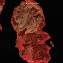 Load image into Gallery viewer, Isle of Arran Whisky Distillery Map of Scotland